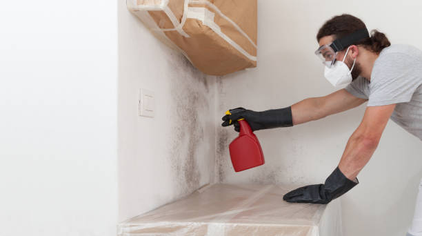 Professional Bathroom Mold Removal technician working in Millersville, PA